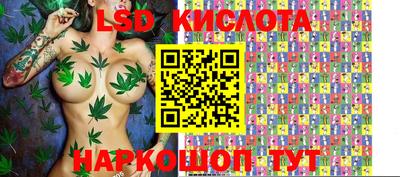 меф Владимир