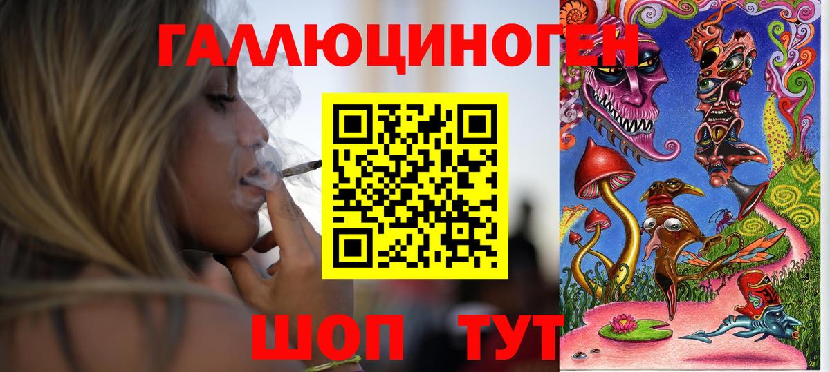 Галлюциногенные грибы Psilocybe Коломна